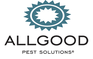 All Good Pest Solutions